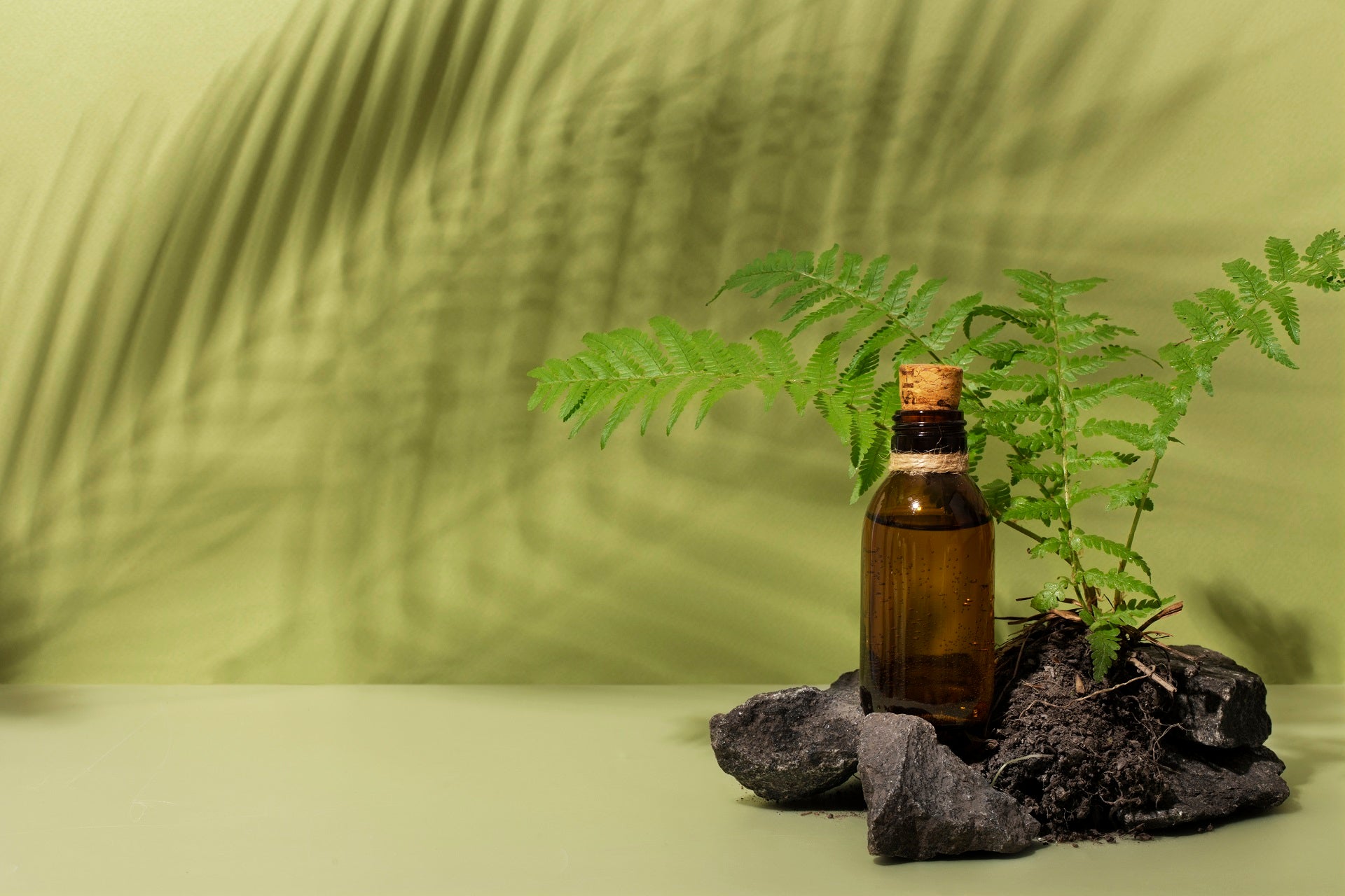 Uncovering The Benefits of Tea Tree Oil Aromatherapy: An Essential Guide To Natural Relaxation & Anxiety Relief
