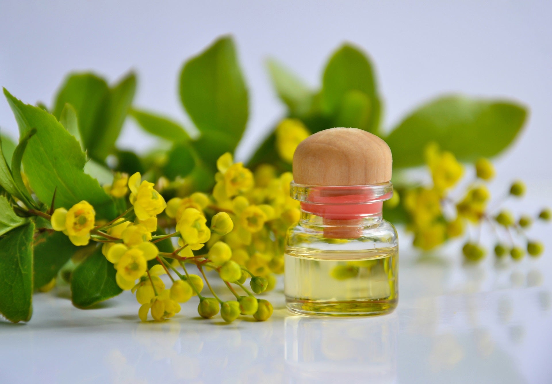 Essential Oil Dilution Chart